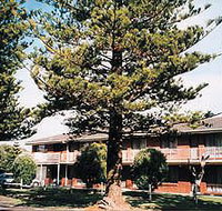 Eastern Beach Holiday Units - Lennox Head Accommodation