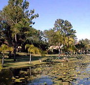 Twin Lakes Hotel - Lennox Head Accommodation