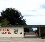 Millicent Motel - Lennox Head Accommodation