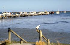 Port Macdonnell SA Lennox Head Accommodation