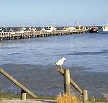 Seaview Motel and Holiday Units - Lennox Head Accommodation