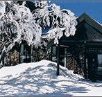 Arlberg Hotel Mt Buller - Lennox Head Accommodation