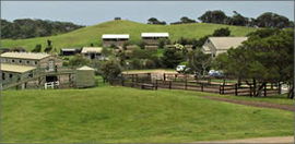 Cape Schanck VIC Lennox Head Accommodation