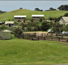 Ace Hi Riding Ranch - Lennox Head Accommodation