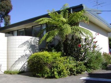 Penguin Mews - Lennox Head Accommodation 3