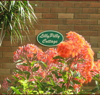 Lillypilly - Lennox Head Accommodation