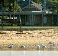 Best Western Coastal Waters Motor Inn - Lennox Head Accommodation
