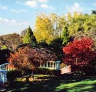Edgelinks Bed And Breakfast - Lennox Head Accommodation