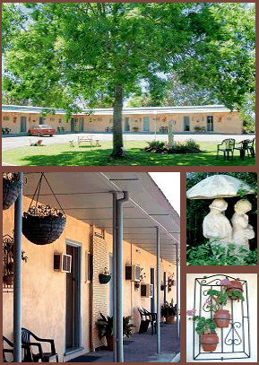 Arch Motel - Lennox Head Accommodation 2