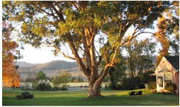 Belltrees Country House - Lennox Head Accommodation 2