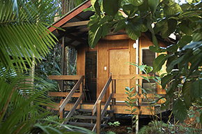 Cape Tribulation QLD Lennox Head Accommodation