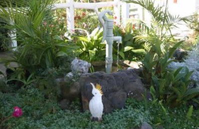 Kingfisher Motel - Lennox Head Accommodation 3