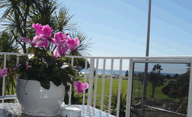 Beach Park Motor Inn - Lennox Head Accommodation 3