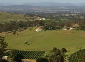 Bimbadeen Estate - Lennox Head Accommodation 1