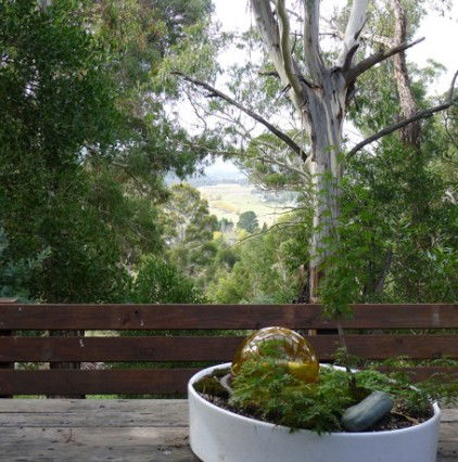 Ingebirah NSW Lennox Head Accommodation