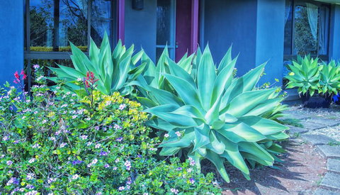 Possum Creek Lodge - Lennox Head Accommodation 2