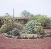 Beaufort Motel - Lennox Head Accommodation