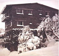 Elk at Falls - Lennox Head Accommodation