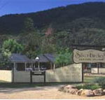 The Silver Birches Holiday Village - Lennox Head Accommodation