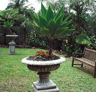 Bangalow Retreat - Lennox Head Accommodation