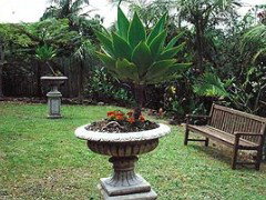 Bangalow Retreat - Lennox Head Accommodation 0