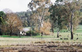 Tungali Cottage - Lennox Head Accommodation 3
