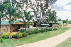 Mundic Grove Cottage - Lennox Head Accommodation 2