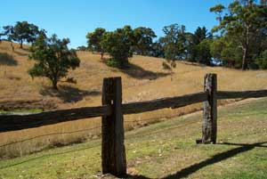 Adelaide Hills Country Cottages - Gum Tree Cottage - Lennox Head Accommodation 4