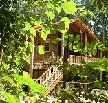Rivers Edge Rainforest Retreat - Lennox Head Accommodation