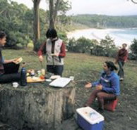 Fortescue Bay Camping Ground - Lennox Head Accommodation