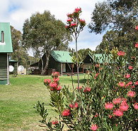 Derwent Bridge Chalets and Studios - Lennox Head Accommodation