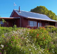 Gateforth Cottages - Lennox Head Accommodation
