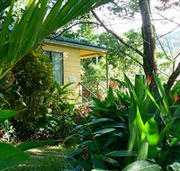 Daintree Valley Haven - Lennox Head Accommodation