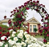 Golden Embers Apartments and B and B - Lennox Head Accommodation