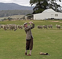 Park House Accommodation - Lennox Head Accommodation