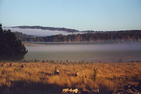 Lemont TAS Lennox Head Accommodation
