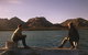 Freycinet National Park Camping Ground - thumb 0