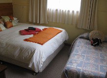 Red Rooster Host Farm - Lennox Head Accommodation 1