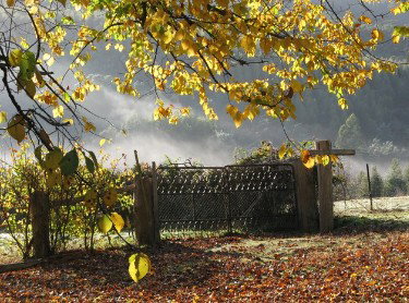 Red Rooster Host Farm - Lennox Head Accommodation 2