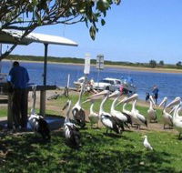 Mountain View Caravan and Mobile Home Village - Lennox Head Accommodation