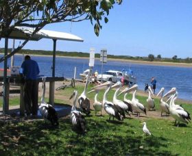 Mountain View Caravan And Mobile Home Village - Lennox Head Accommodation 0