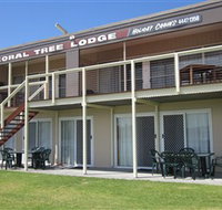 Coral Tree Lodge Tourist Park - Lennox Head Accommodation