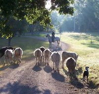 Brooloo Park - Lennox Head Accommodation