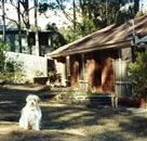 Bernadette Cottage - Lennox Head Accommodation
