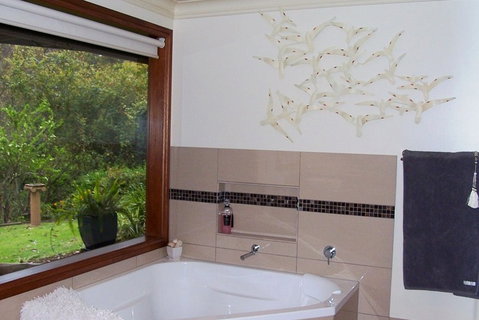 Bellbird Cottage Bed And Breakfast - Lennox Head Accommodation 3