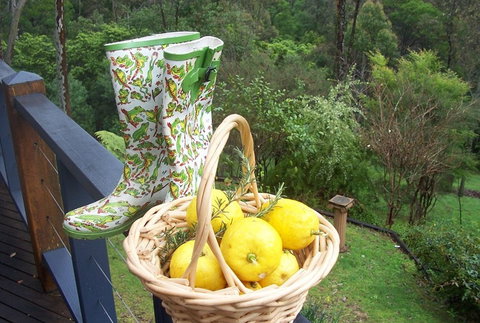Bellbird Cottage Bed And Breakfast - Lennox Head Accommodation 4