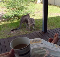 Bush and Bay Cottage - Lennox Head Accommodation