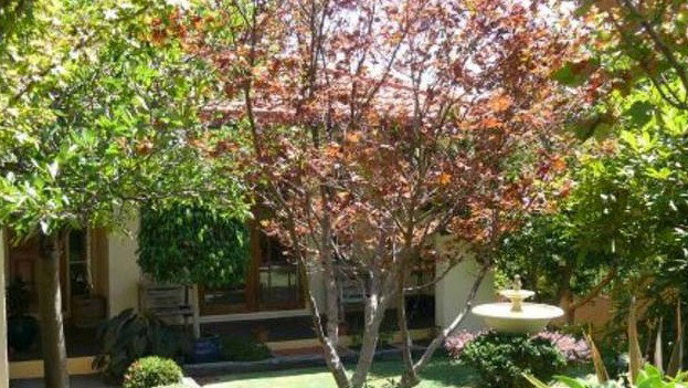 Merimbula NSW Lennox Head Accommodation