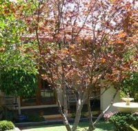 Akame - Lennox Head Accommodation