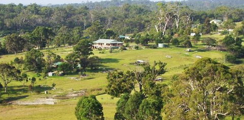 Bryn Glas Bed And Breakfast - Lennox Head Accommodation 3